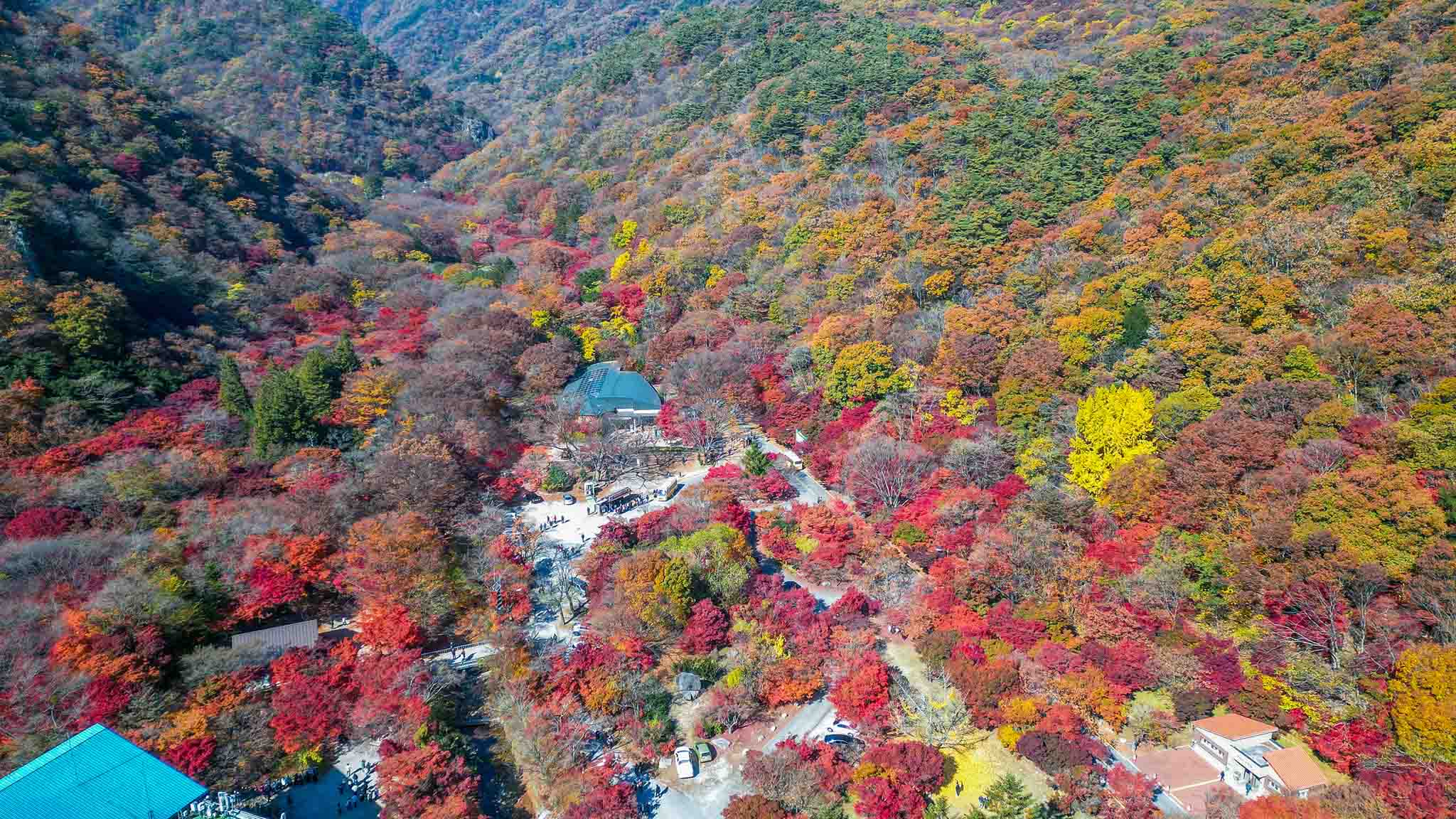 Cảnh sắc mùa Thu đẹp hút hồn tại vườn quốc gia Naejangsan, Hàn Quốc